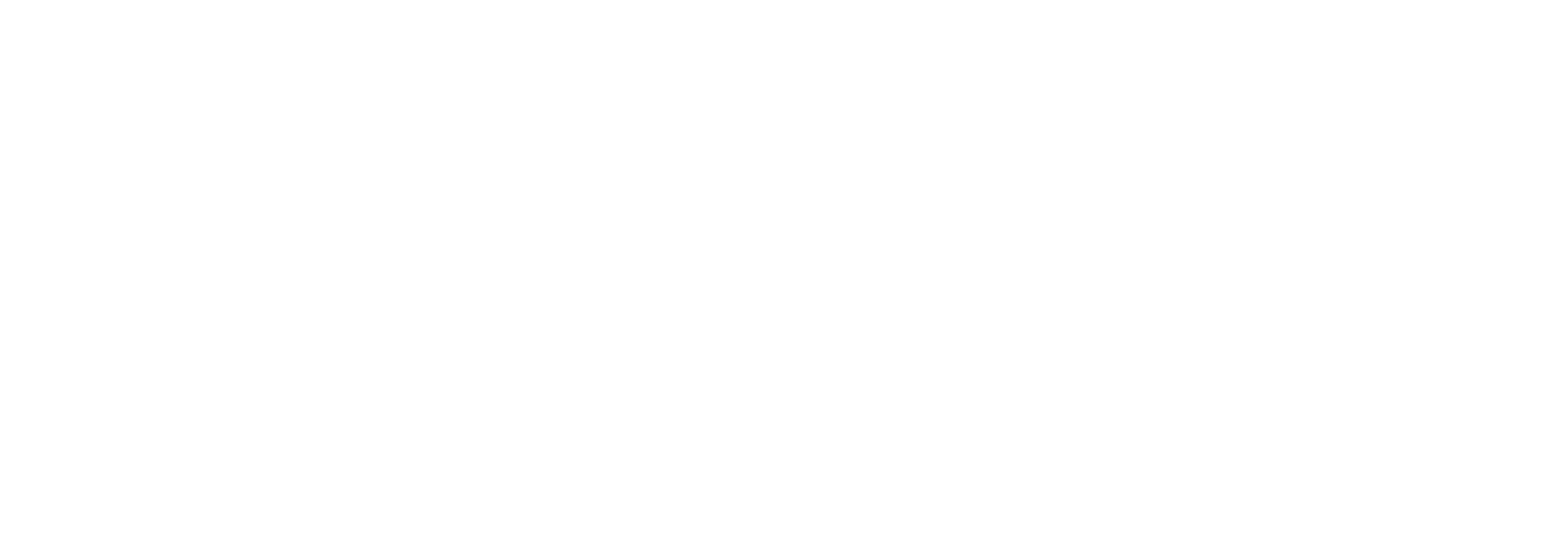 Life Code Company Logo